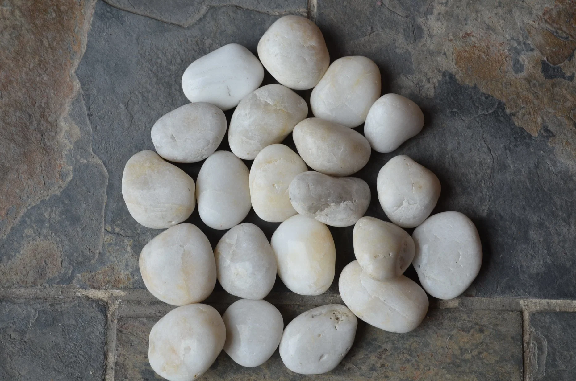 Commercial Use Natural Oval White Bathroom Tile Pebble Stones