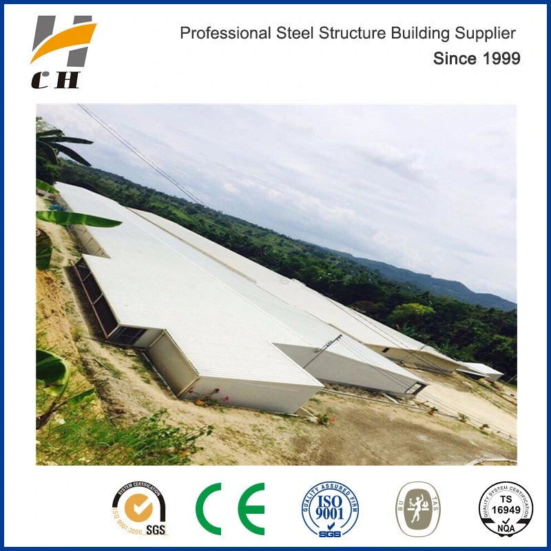 Factroy Price Quality Prefab/Prefabricated Light Weight Steel Structure Frame Metal Livestock Farm /Poultry Farms/Poultry Chicken Farm with Equipment