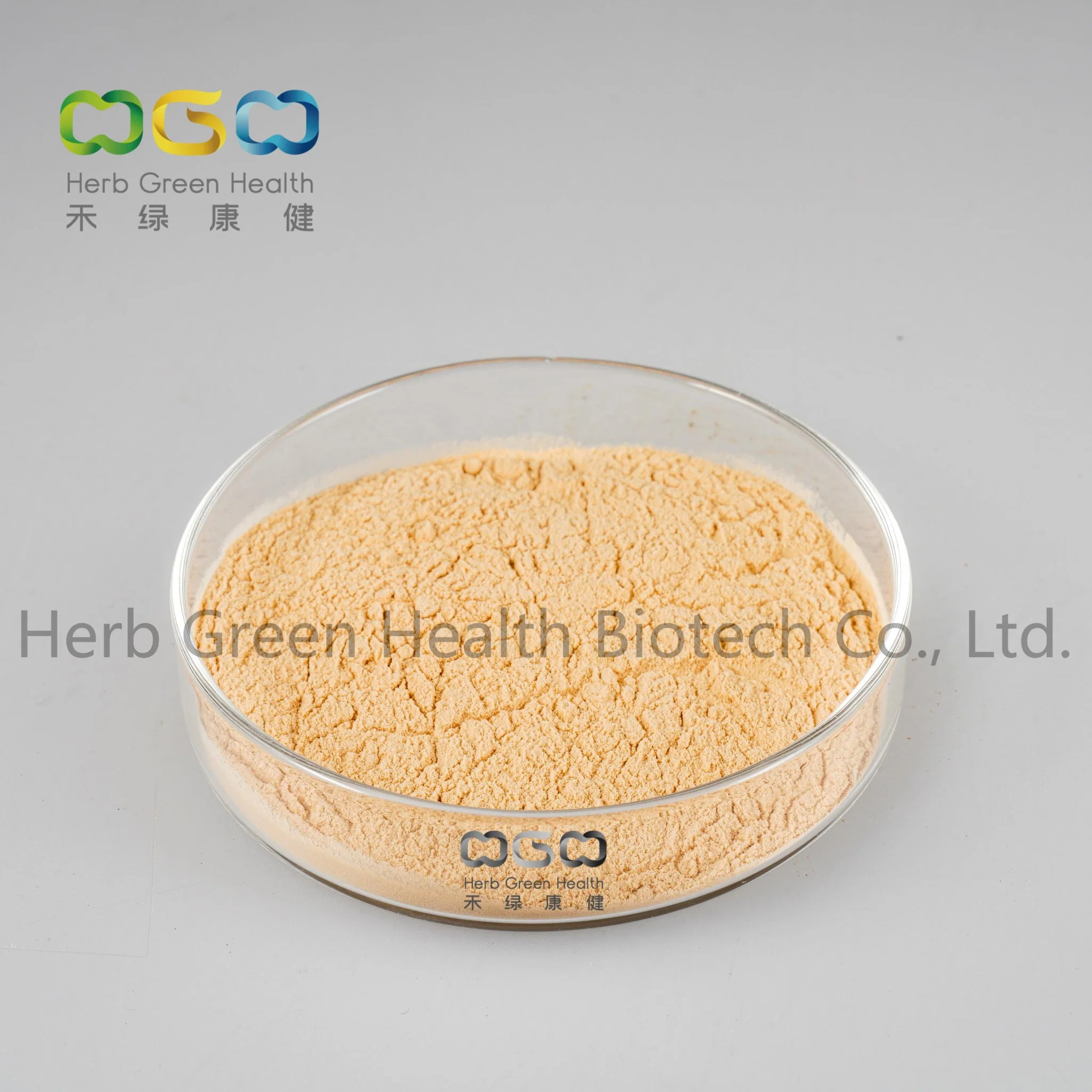 Wholesale/Supplier Competitive Price Immune Regulating Seasoning Ginger Powder