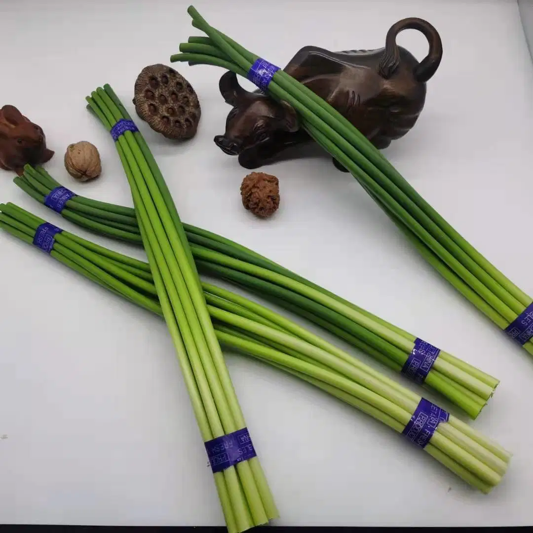 China Young Garlic Shoot, 250g One Bundle