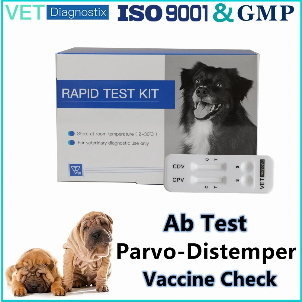 Cpv Cdv-Test Canine Parvo Staupe Antikörper Schnelltest