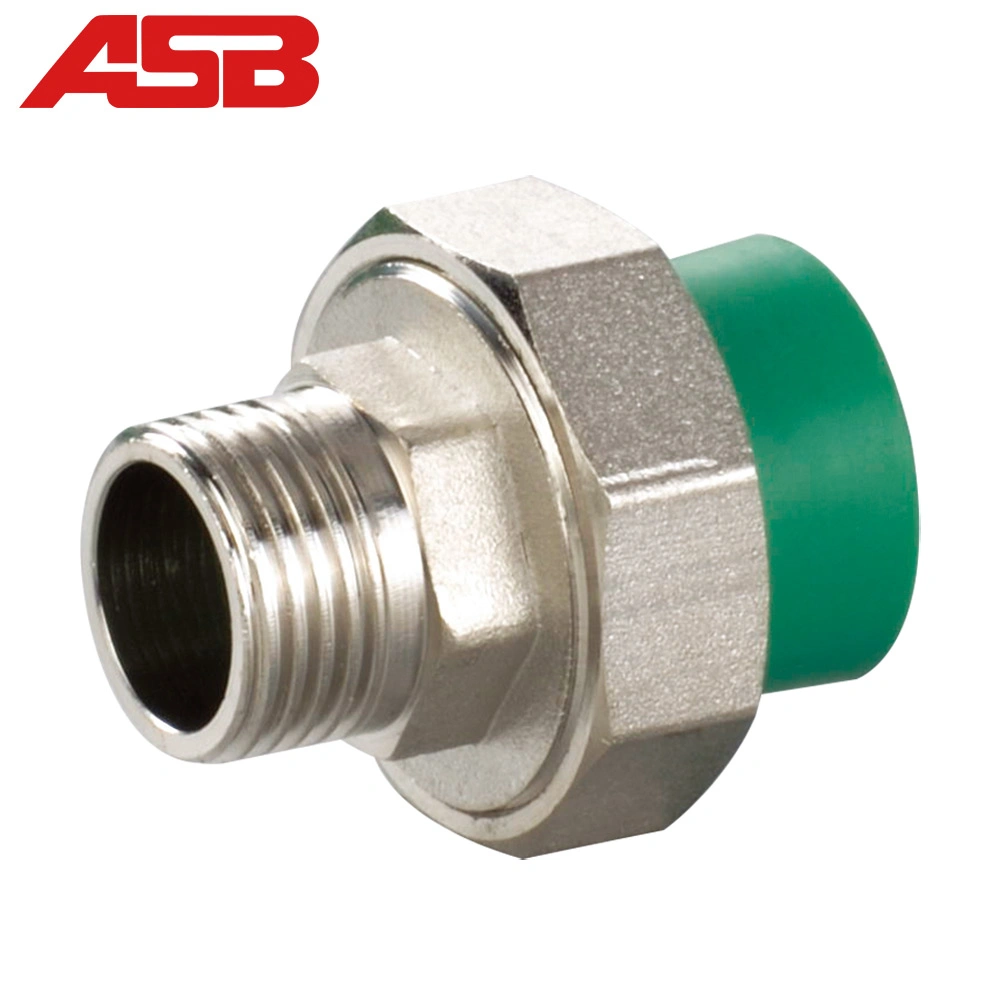 Tairipro Good Appearance Asb/OEM PVC Steel Braided Hose PPR Fittings