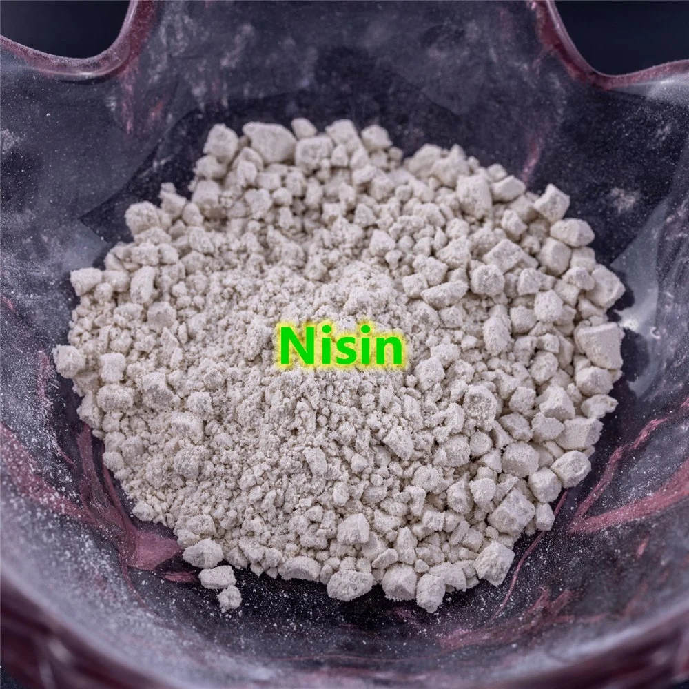 Natural Preservatives Nisin 1000 Iu CAS 1414-45-5 Promote Shipping