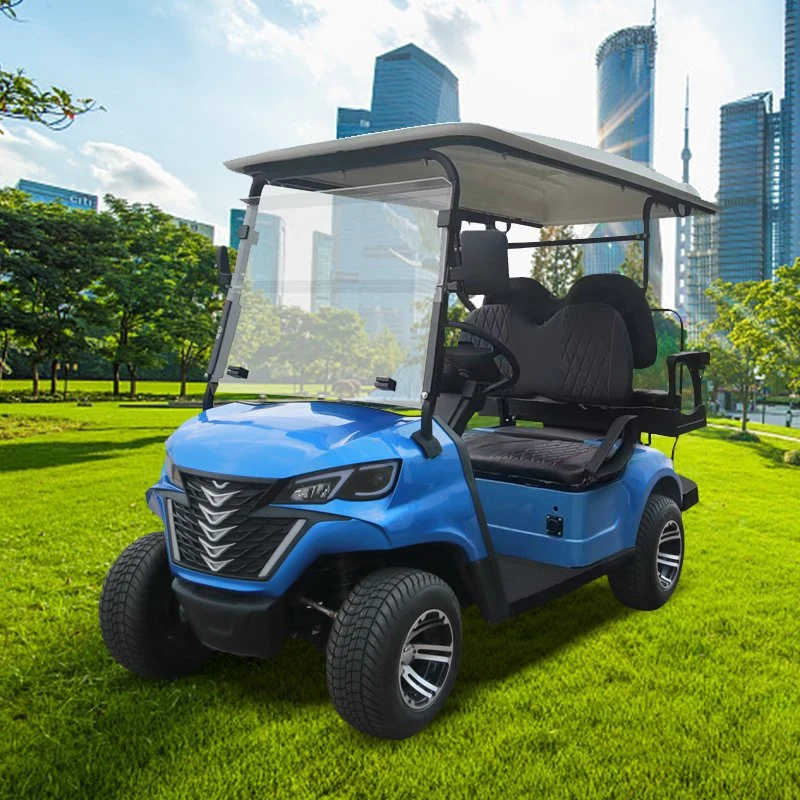 Nueva Versión 2+2 Seater Forge G2+2 Electric Golf Cart Golf Carros