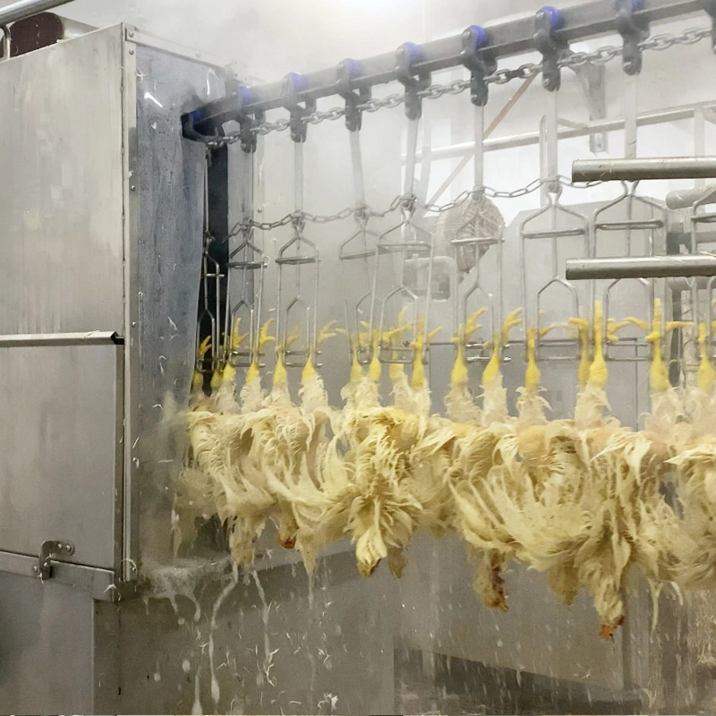 Factory Price Poultry Chicken Slaughter Equipment for Abattoir Butcher