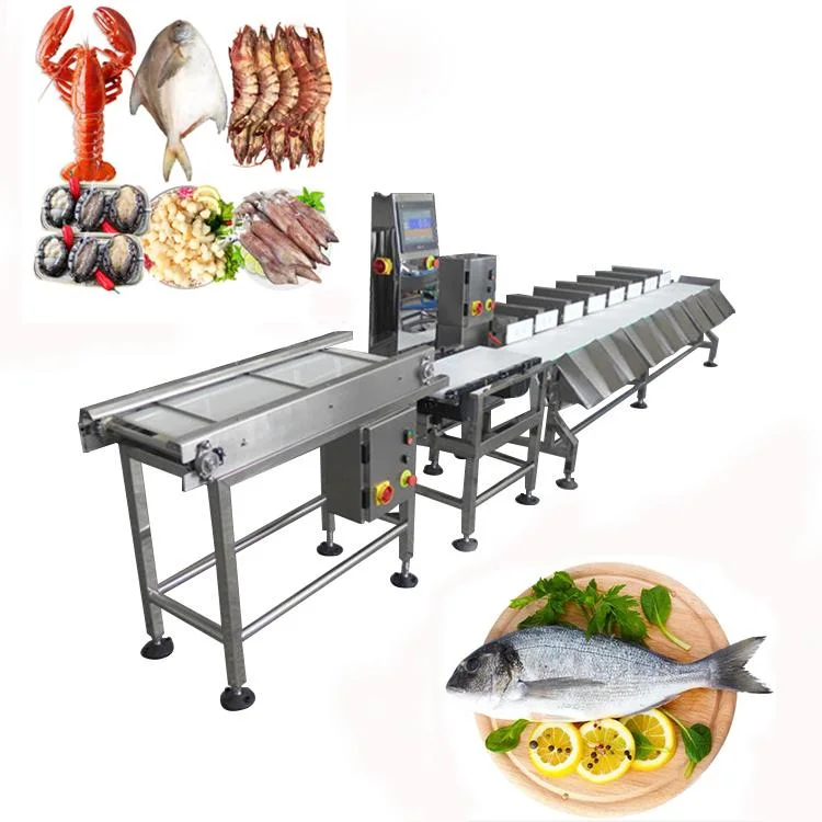 Automatic Digital Conveyor Belt Fish Shrimp Sorting Machine Checkweigher Sorting Machine Grader Sorter Machine