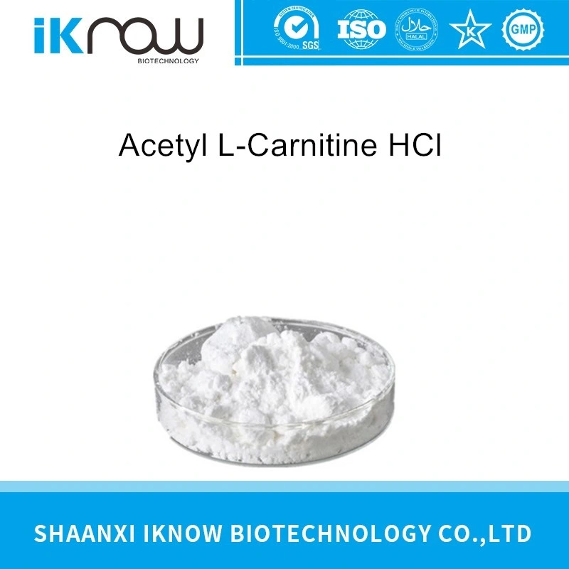Supply of High-Quality Acetyl L-Carnitine HCl Raw Material Powder CAS 5080-50-2
