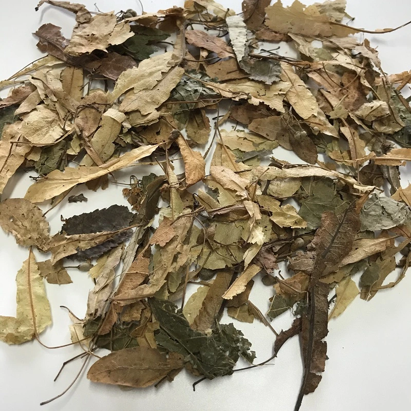 Duan Shu Hua Natural Dried Herbal Linden Flower Tea for Health Care