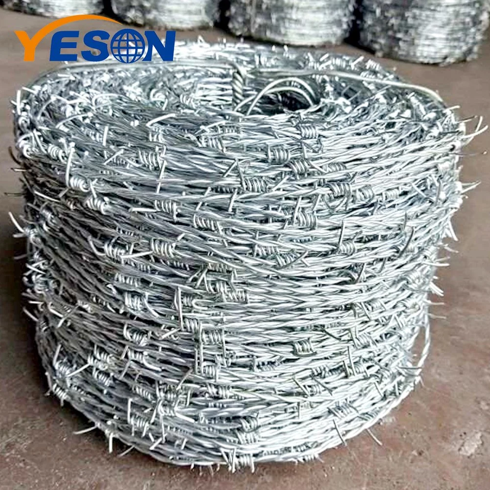 Hot-Dipped Galvanized Barbed Wire for Airport Prison Security Fence