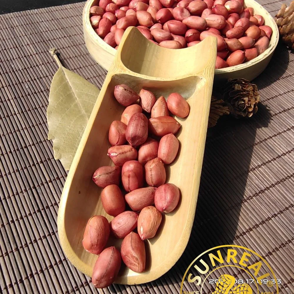 Raw Peanut Kernels/Red Skin Peanut Kernels/Good Shape From China 50/60