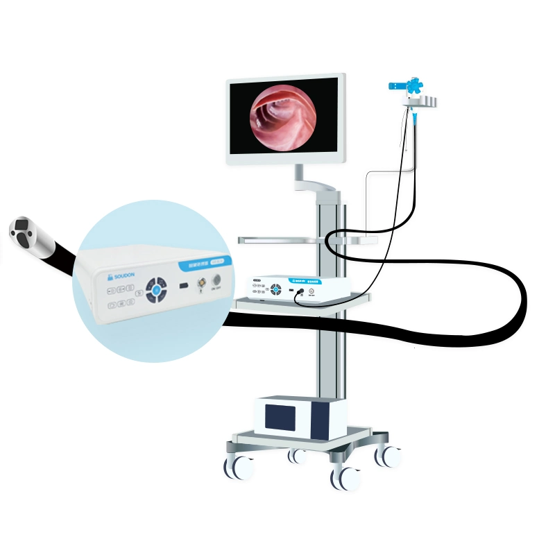 Medical Flexible Choledochoscope for Surgery Medical Instruments Endoscope Portable Flexible Video Bronchoscope/ Choledochoscope / Ureteroscope Price