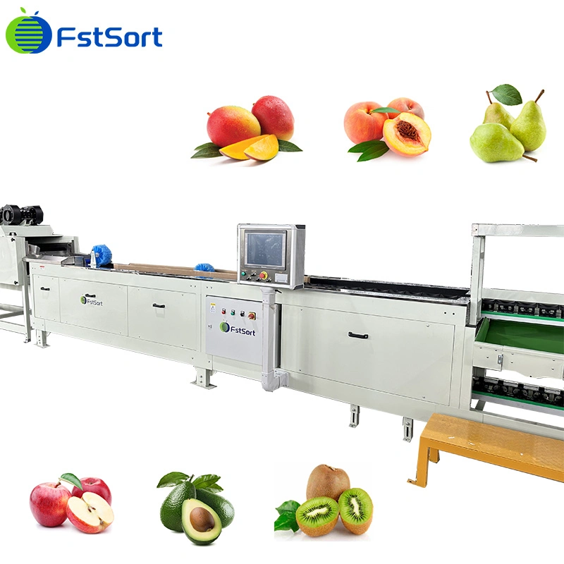 Les fruits de classement des entreprises de transformation de fruits de la machine Poids machine de tri électronique