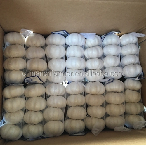 Best Selling Garlic Available at Wholesale/Supplier Price