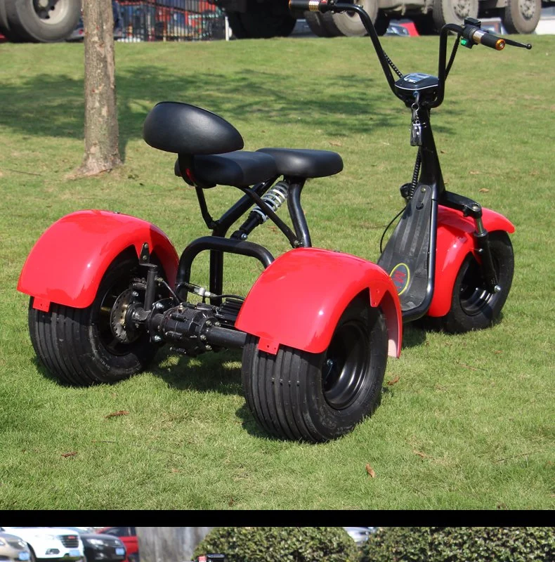 3 Wheel Electric Wide Wheel 1000W Big Power Bike Scooter Citycoco for Sale for Adult Big Scooter