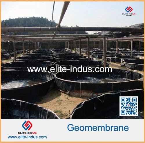 Smooth Textured Surface HDPE Geomembranes Liner