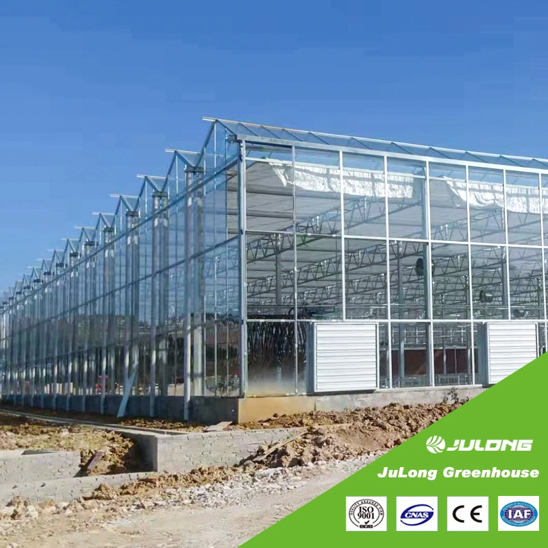 High quality/High cost performance Cheap Agriculture Commercial Venlo Polycarbonate Greenhouse with Hydroponics System for Vegetables