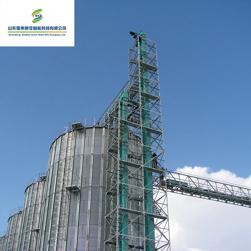 Alta Eficiência da cadeia de grãos elevador de canecas galvanizado Vertical e revestimento de milho Trigo Arroz elevador de canecas