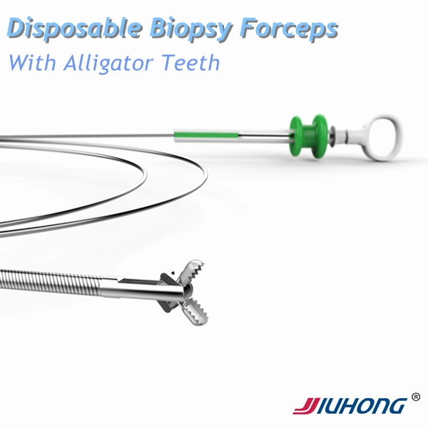 Ce0197/ISO13485/Cmdcas/FDA Certifications! ! Disposable Biopsy Forceps with Alligator Teeth Jaws