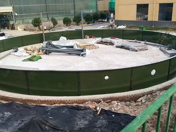 100-3000m3 Internal Circulation Anaerobic Biodigester Fermentation Tank for Chemical Waste Water Sewage Treatment