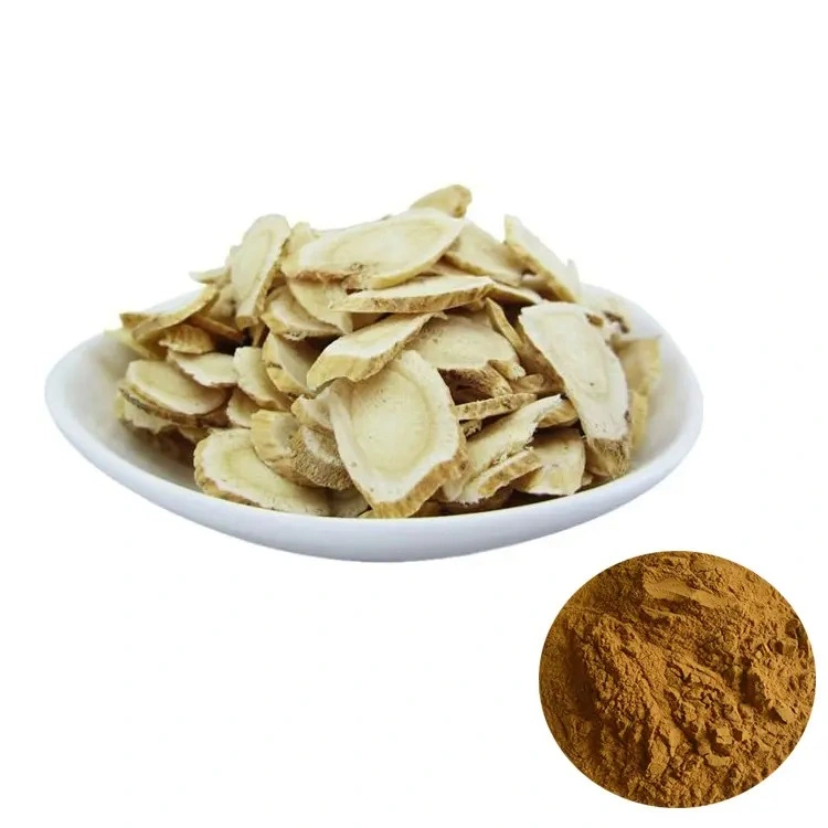 Hot Sale Yellow Astragalus Root Powder Organic Plant Extract Natural Health Products for Anti-Bacterial