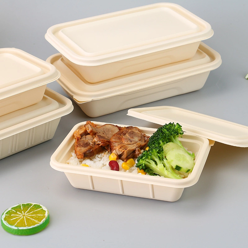 Chicken Lunch and Water Bottle Food Insulated Box