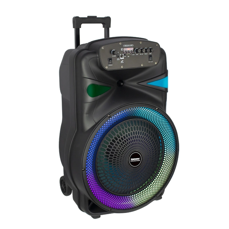 Temeisheng Bass High quality/High cost performance  Loud 100W Power Party Portable Speaker for Outdoor Activities Wireless Bluetooth Trolley Speaker