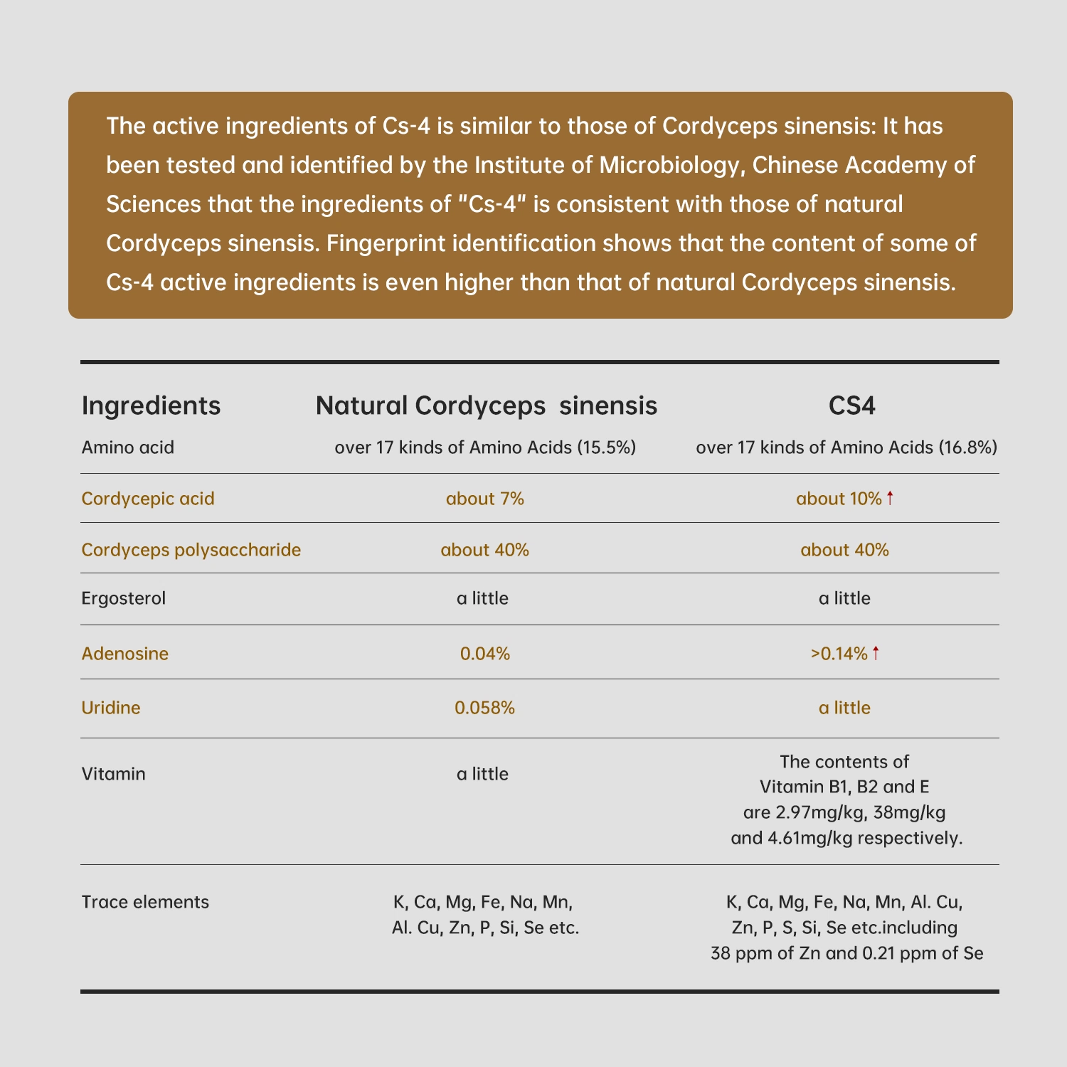 Commerce de gros Capsule organiques OEM Cordyceps Sinensis Cordyceps Capsules de supplément de l'extrait de la poudre de l'immunité végétalien, non-OGM, &amp; Gluten-Free