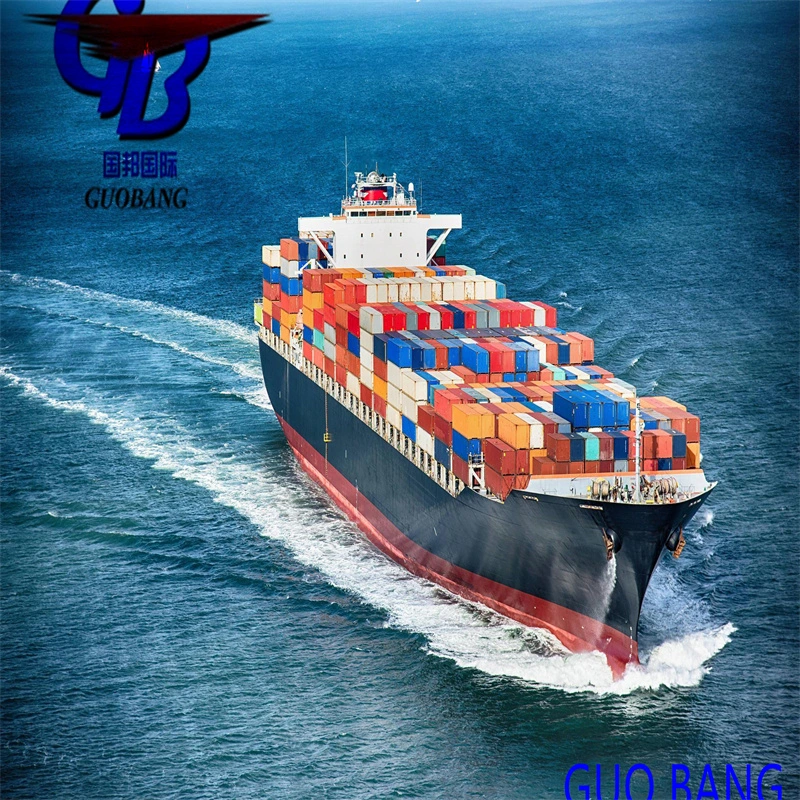 Sea Freight From China to Dubai with The Cheapest Offer