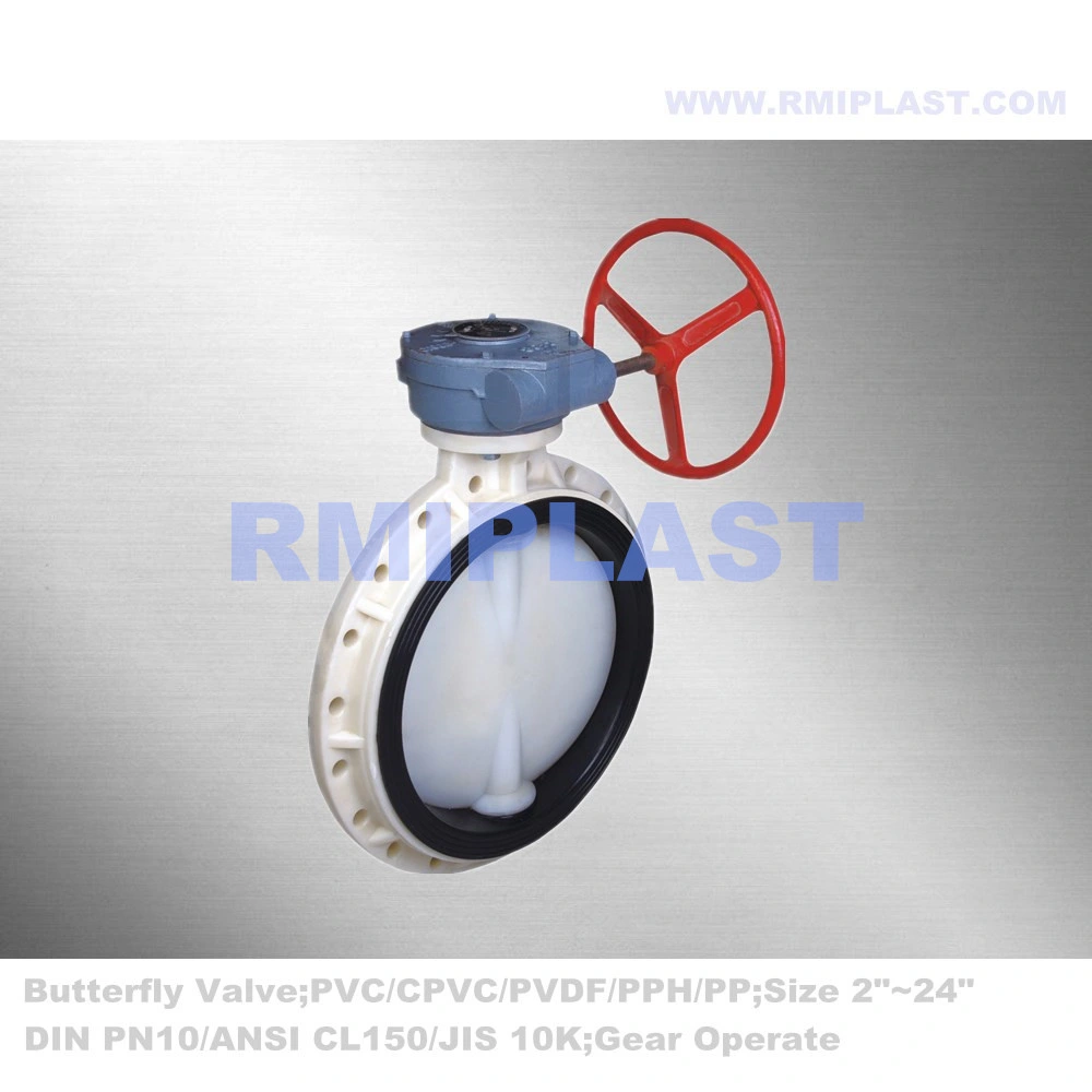 PVDF Body Non Metallic Butterfly Valve Wafer Type DIN Pn10 DN50 DN80 DN100 DN150 DN200 DN250 DN300 DN350 DN400 DN500 DN600