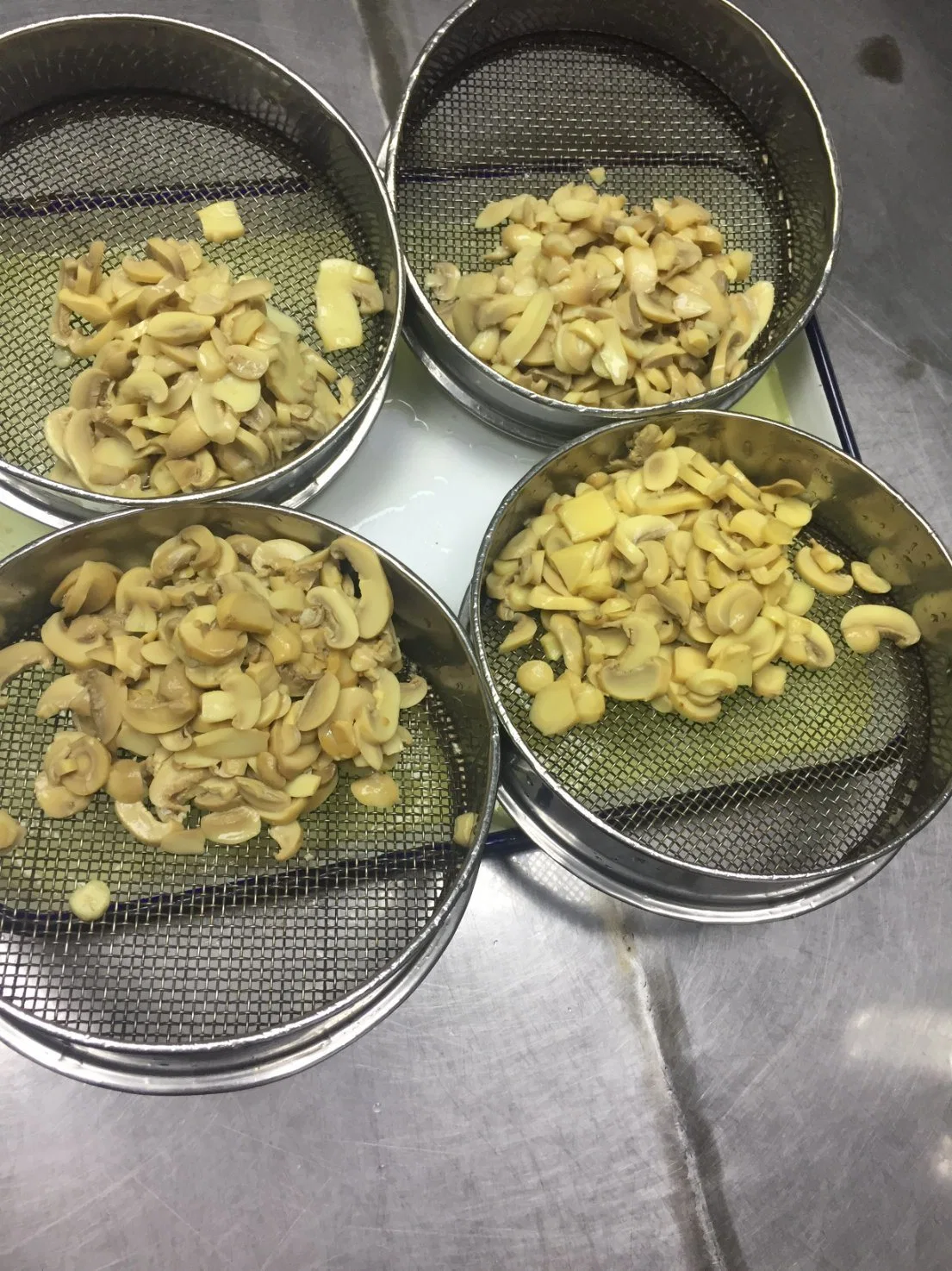 Pedaços de Mushroom enlatado vegetal em salmoura