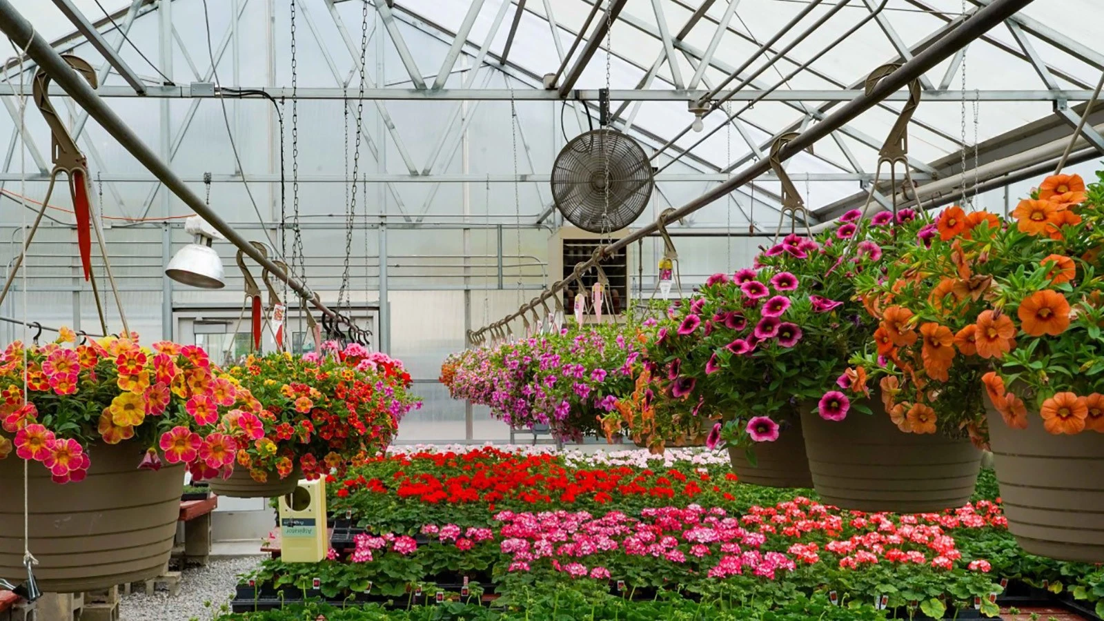 Modern Style Greenhouse Covered with PC Sheet/Glass Greenhouse for Vegetables/Fruits/Flowers