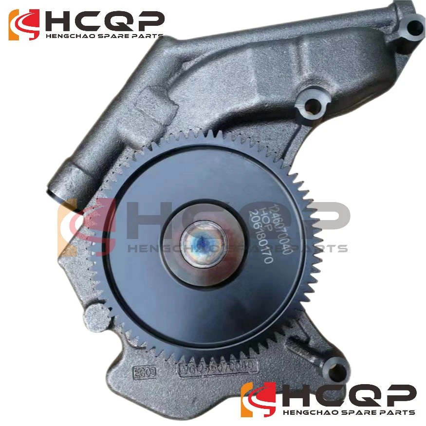 Sinotruk HOWO Truck Engine Parts Oil Pump Vg1246070040 Wd12 Engine Spare Part