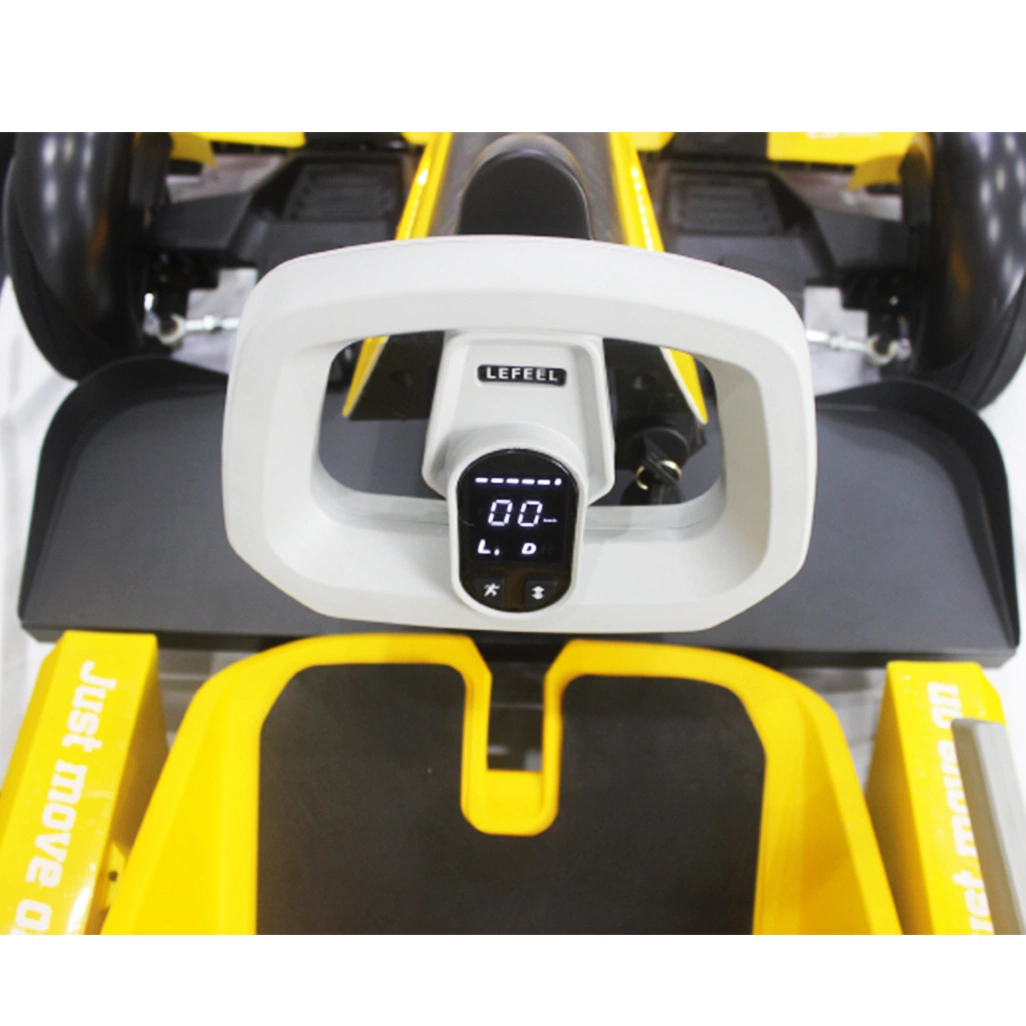 Fashion Popular New Design Electric Go Kart Kit Electric Karting Wholesale/Supplier Used Go Karts for Sale Cheap