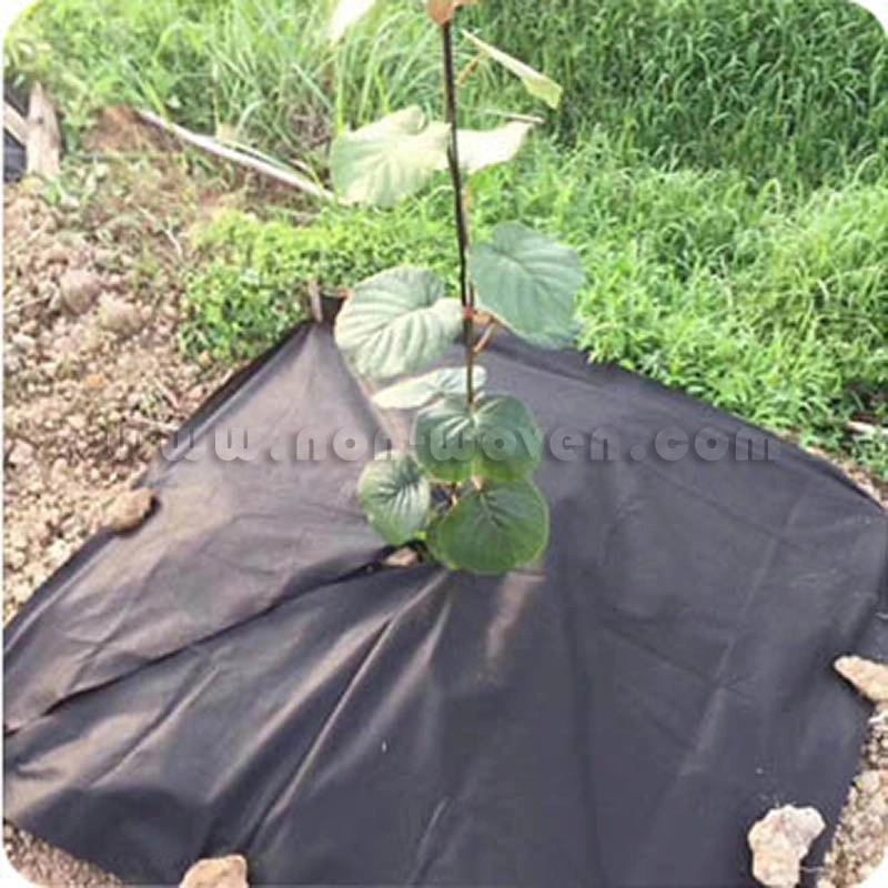 Agricultural Products Nonwoven Ground Cover Textiles Weed Control Landscape Fabric