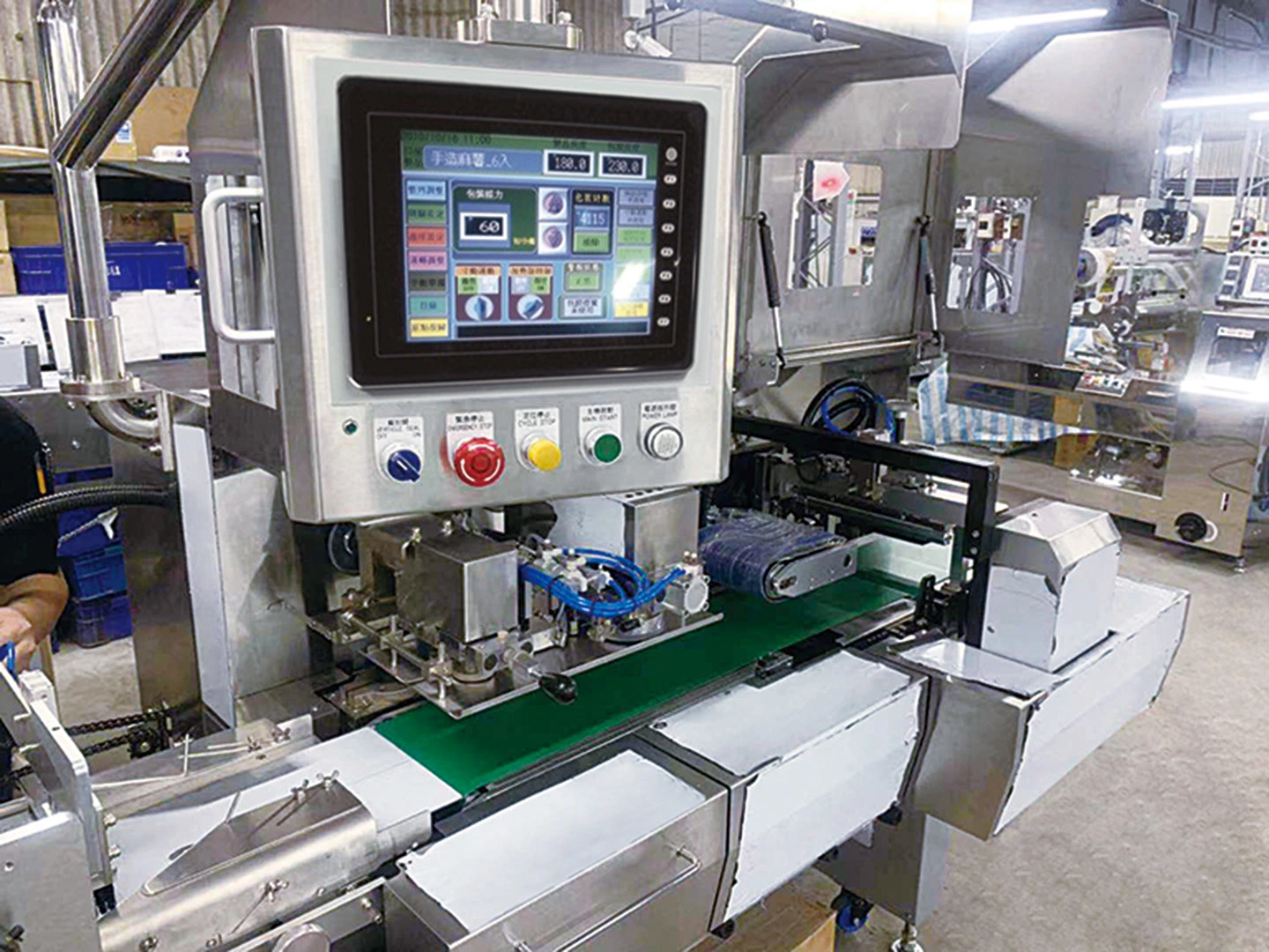 Bread Sacima Multi-Bag Second Packing Machine