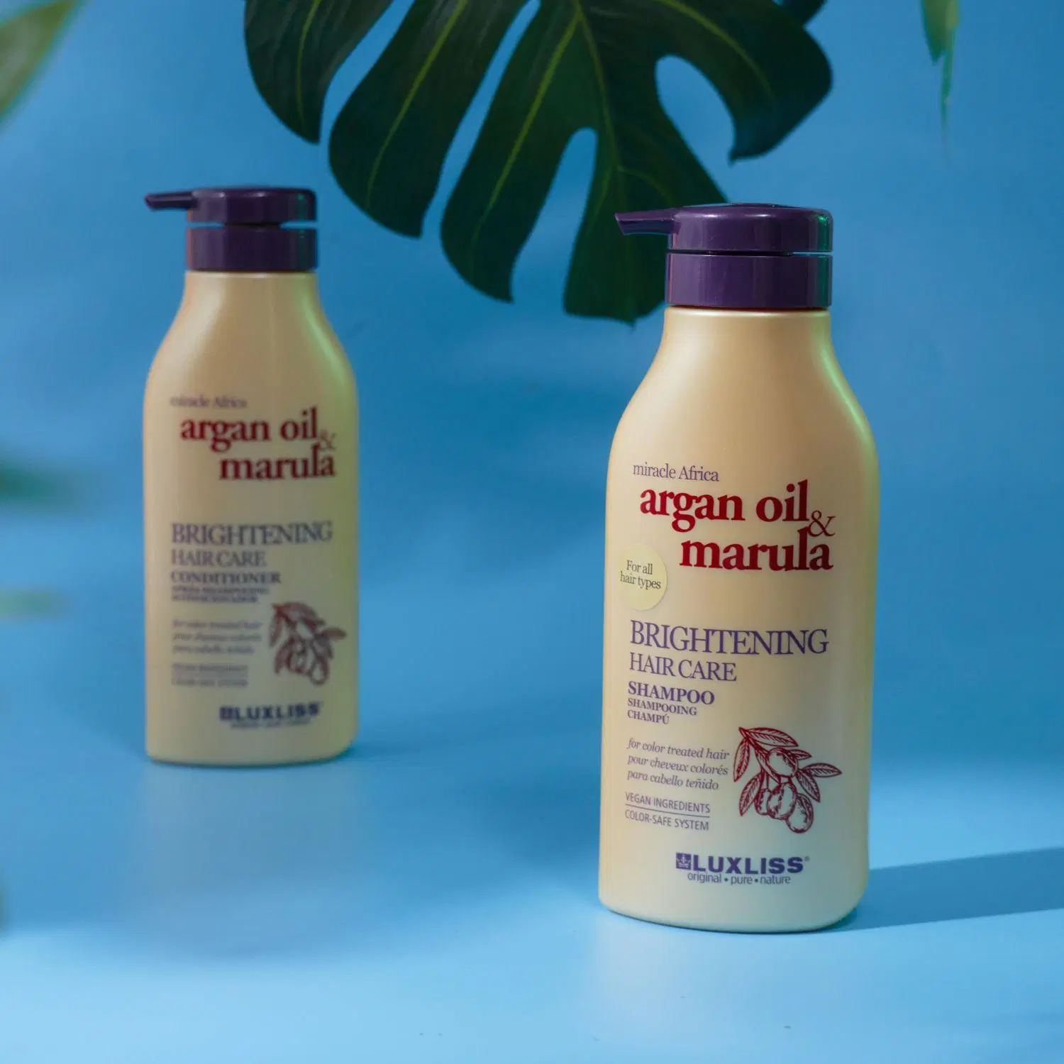 Marula Oil and Argan Oil Color Protect Hair Shampoo