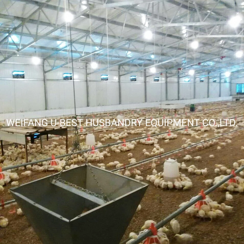 CE-Zulassung Vollautomat Maschine / Ausrüstung Geflügelzucht / Farm für Huhn / Broiler / Züchter