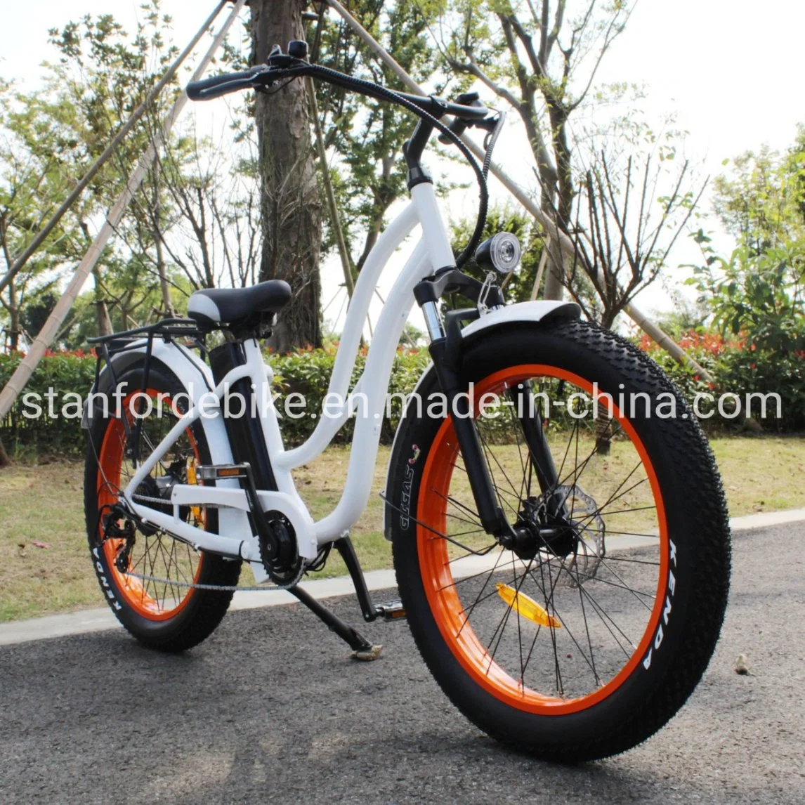 Greenpedel Wholesale/Supplier CE Certification Retro Electric Bike Ebike Bicycle