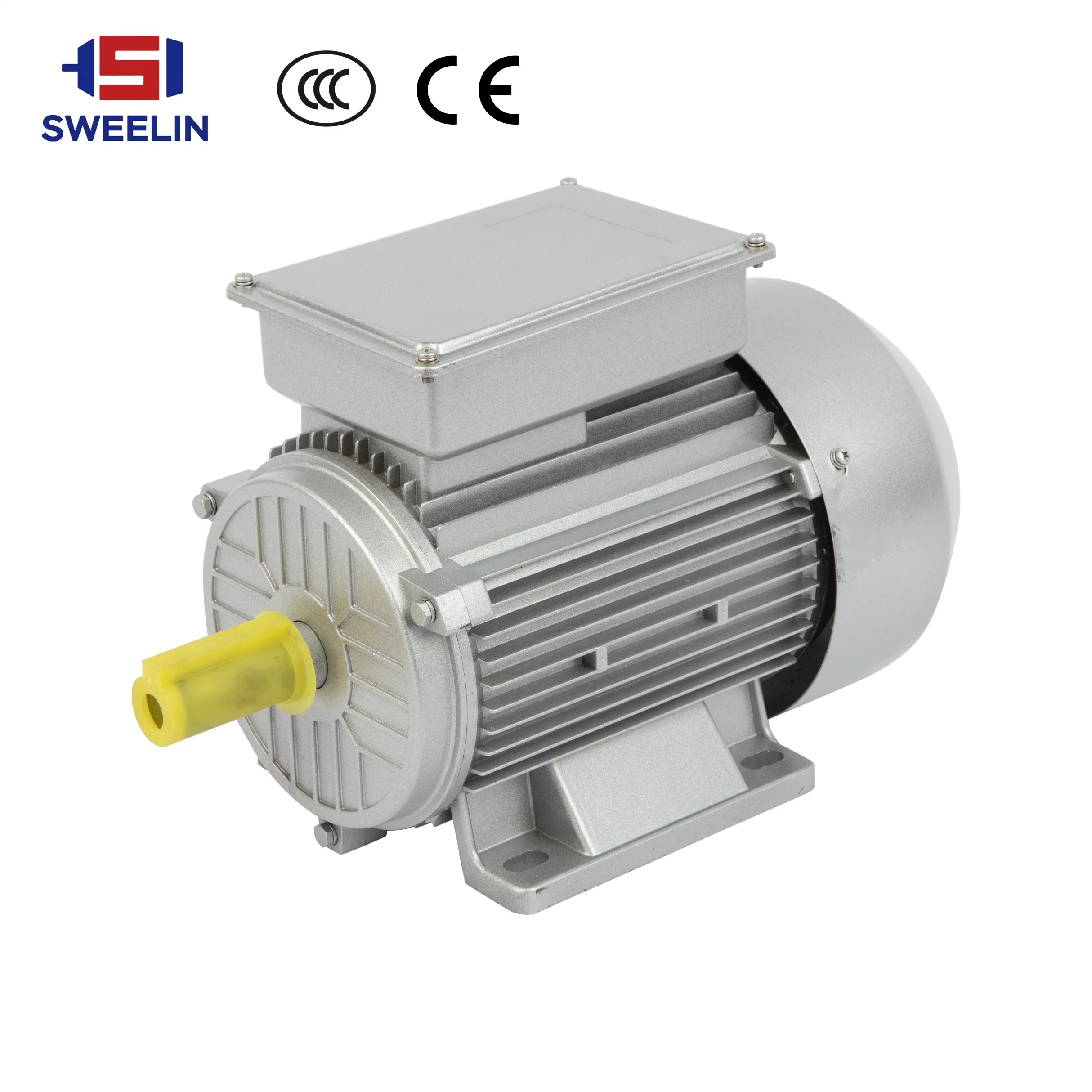 Single-Phase Electric Motor CE Certification 220V Fan Vacuum Pump