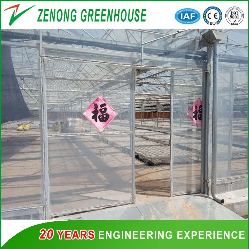 Modern Arch Roof Greenhouse with PC Board Surroundings and Plastic Film Roof