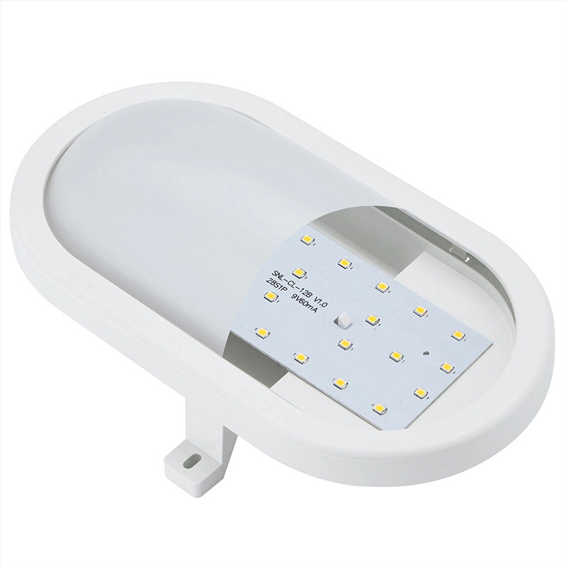Ecosn15ao 15W Outdoor Lamp IP54 LED Ceiling Lighting Suspended Fixture Frosted and Clear Cover Industrial LED Ceiling Light LED Wall Light
