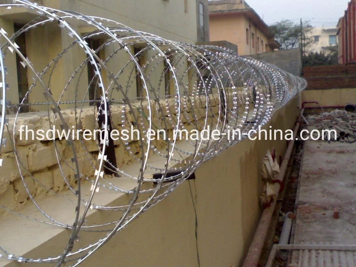 Galvanized Barbed Wire Security Guard Stainless Steel Wire Razor Wire