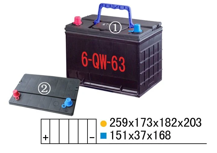 حقيبة شحن 6-QW-63 مزودة بهاتف محمول بلاستيكي وقاشر توصيل أسطواني صنع آلة 510 حز لعبة غولف عربة Lithium Portable Battery Box