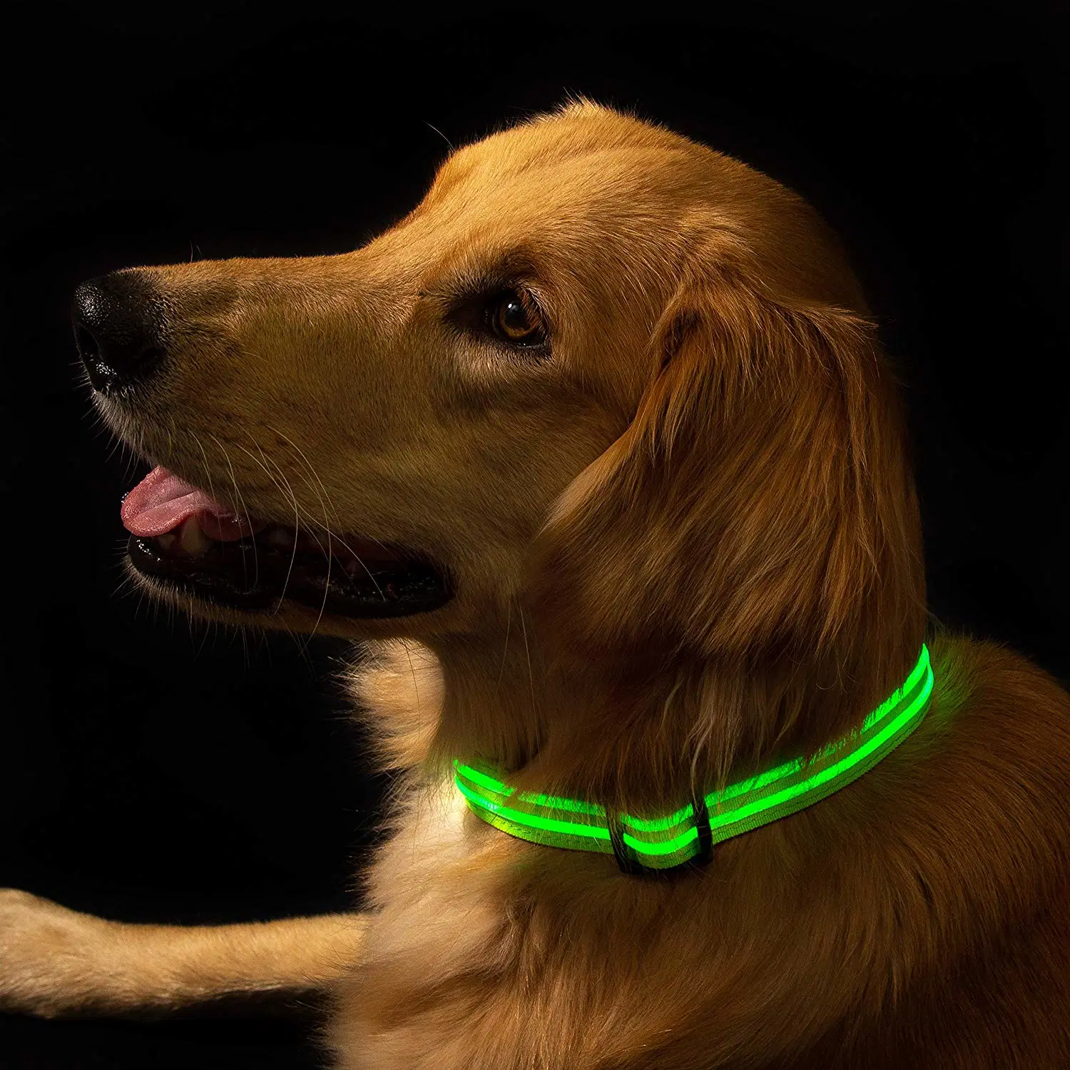 New Factory Wholesale/Supplier LED Pet Collar Rechargeable