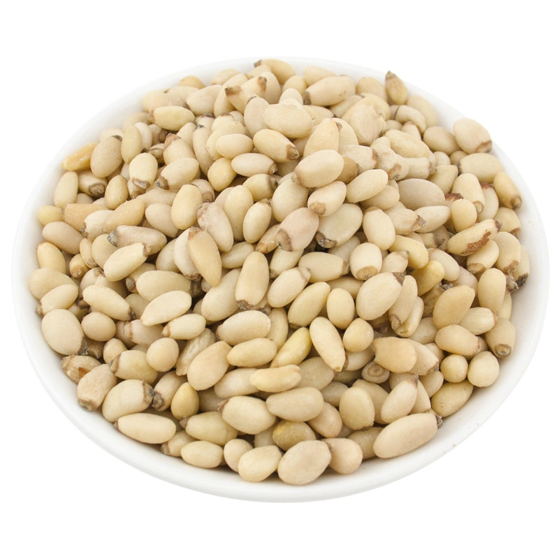 Top Quality Pine Nuts Kernels