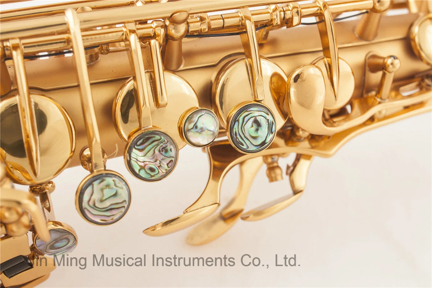 Professional Alto Saxophone, Gold Plated Pisoni Pads Sax