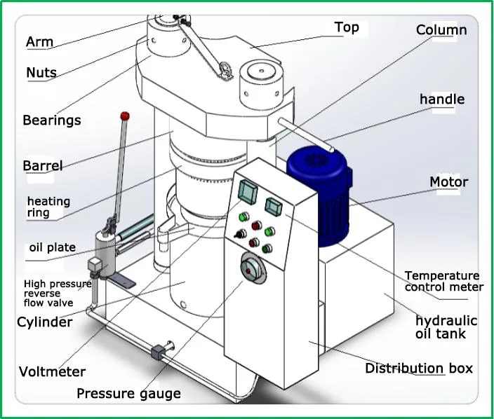 SSS304 Material Automatic Hydraulic Oil Press Machine Small Cocoa Butter Press Machine