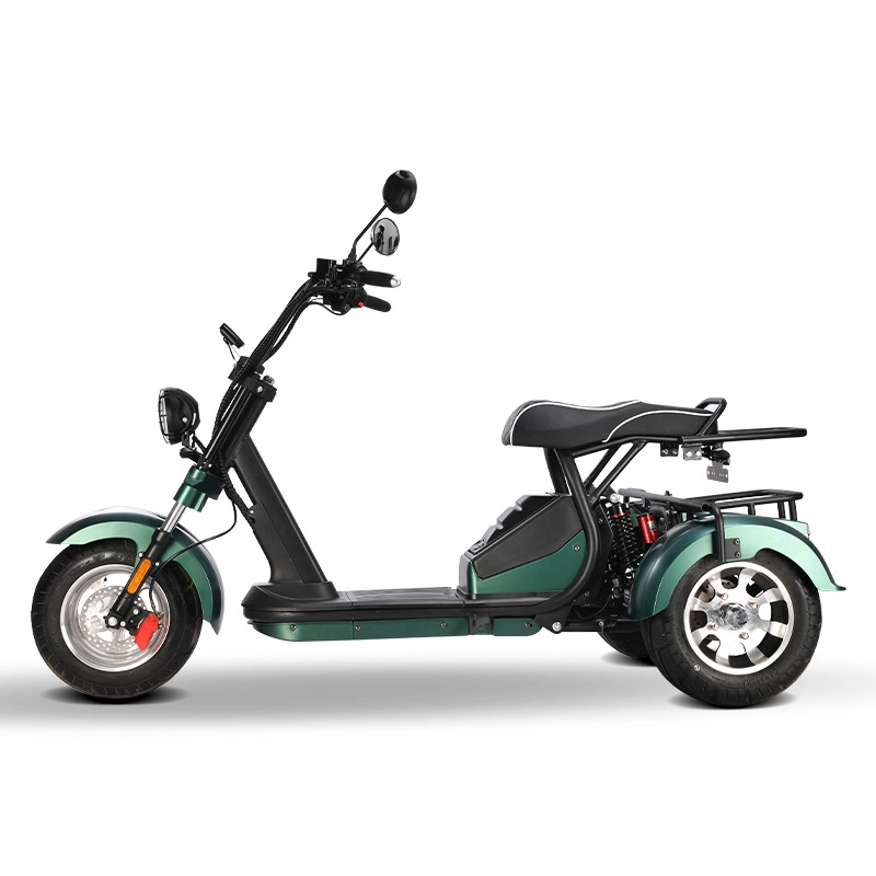 Elektro City Bike Scooter 2 * 60V 20ah Batterie Elektro-Scooter Motorrad 3 Rad Elektro Dreirad Chopper E Scooter