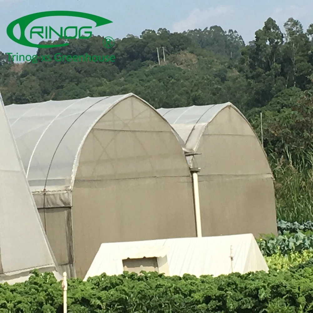 Multi span poly film light tunnel greenhouse for farming