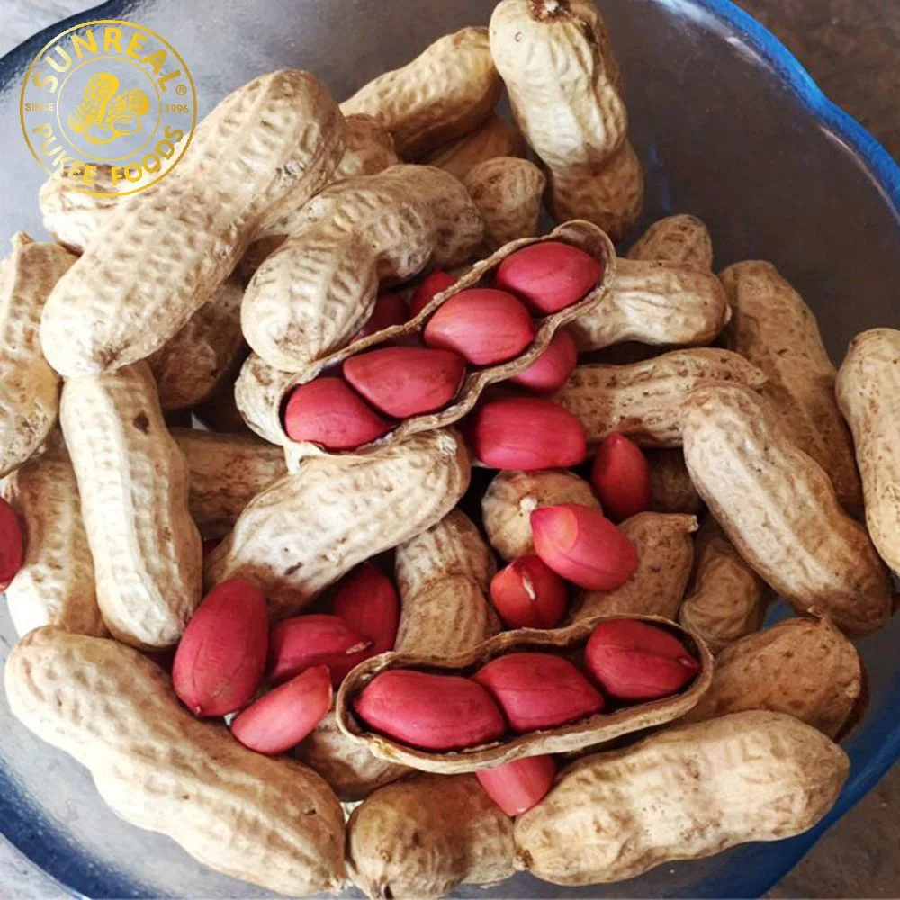 Peyted Peanut in Shell/Red Skin Peanut in Shell/Premium Quality من الصين